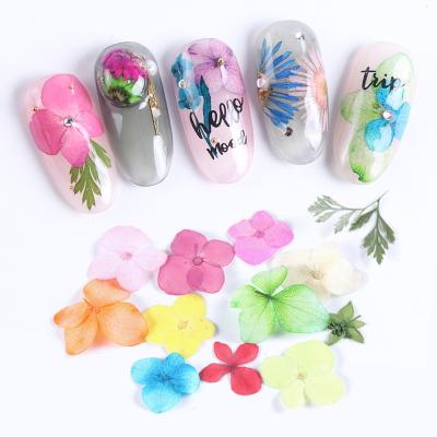 China Easy Apply 3D Nail Art Designs Manicure Mix Natural Dried Flowers Nail Decorations Jewelry Floral Leaf Stickers for sale