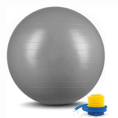 China Swiss Logo Eco Friendly Ball 75cm Matt Frosting Surface Anti Burst Custom Yoga Fitness Gym Round Exercise Ball With Pump for sale