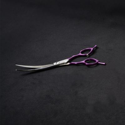 China Stocked Dog Grooming Cutting Professional Curved Scissors Stainless Steel Shears for sale