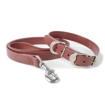 China Stocked Premium PVC Coated Webbing Dog Leather Canine Collar And Leash for sale