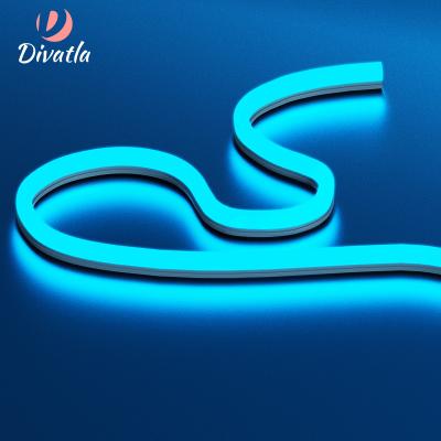 China Divatla Durable Silicone Neon Tube Light Indoor Advertising Decorative Custom Separated Neon Led Light Strip for sale