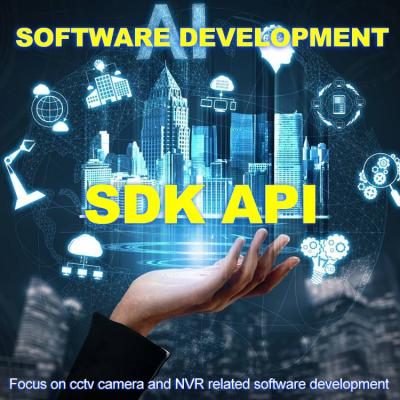 China Supermarket/Airport/Parking/Highway/Government Engineering API SDK Professional APP Software Development for Dahua Face Recognition People Counting CCTV Camera for sale