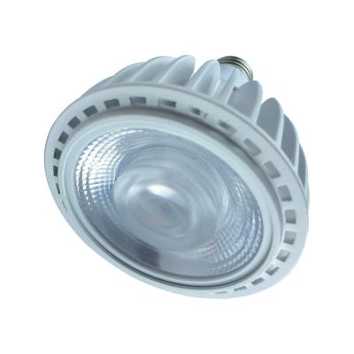 China High Brightness High Power Spotlight Shower Landscape Spotlight Led Spotlight Pathway Light for sale