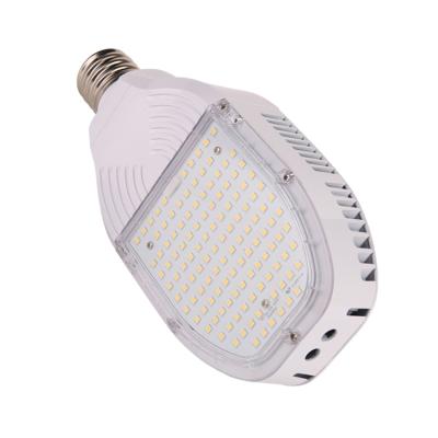 China ROAD Best PriceTraditional hid light retrofit led corn light bulb 65W led light for street decoration for sale