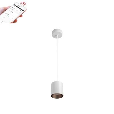 China Modern SZDAYTON Lighting APP Master Smart Pendant Light C Series 10W 15W 20W 30W 40W Zigbee Tuya Outdoor Mounted Light for sale