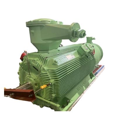 China Totally Enclosed High Voltage Flame Proof Wolong YBBP Variable Frequency AC Motor With ATEX Certification For Hazardous Area for sale