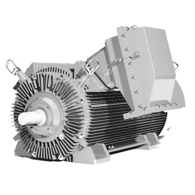 China Wolong BrookCrompton W Series Totally Enclosed High Voltage High Output Electric Motor For Industrial Equipment for sale