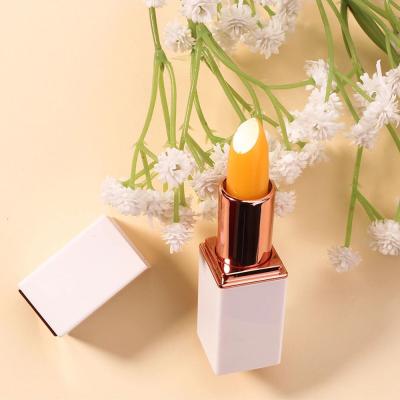 China Waterproof Honey Color Changing Lipstick Natural Moisturizing Private Label Makeup Lipstick Lip Care for sale