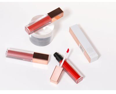 China Low Moq OEM ODM Cosmetics Waterproof Custom Lip Gloss Waterproof Matte Lipgloss Wholesale Long Lasting Makeup for sale