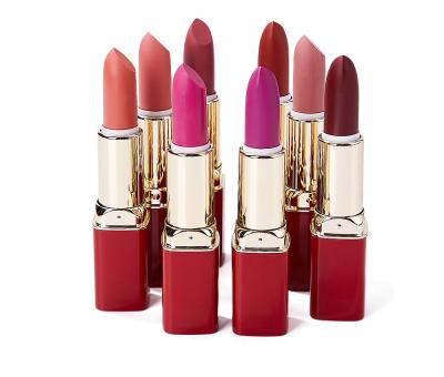 China Private Label Waterproof No Label Makeup Nude Lipstick Waterproof Long Lasting Custom Semi-Matte Lipstick for sale