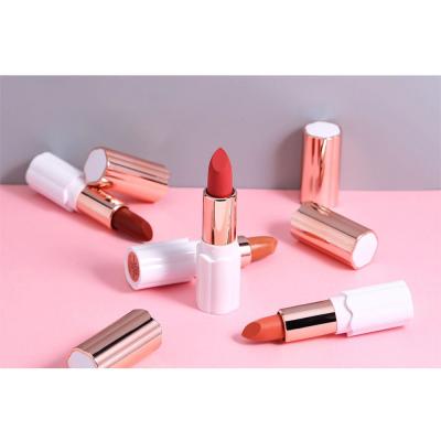 China Private Label Beauty Cosmetics Vegan Lipstick Waterproof Durable Matte Lipstick Makeup for sale