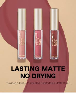 China Private Label Waterproof Beauty Make Up Seller Matte Lip Stick Waterproof Lasting Non Drying Nude Makeup Vegan Liquid Lipstick for sale