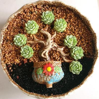 China Decorative Flower Pot Branches Ceramic Flower Pot Decorative Flower Pot Branches Succulent Decorative Growing Pots for sale