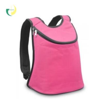 China Hot Selling 70D Polyester Food Cooler Bags Heat Storage Bags for sale