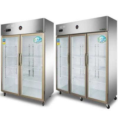 China Custom Single-Temperature Display Fridge Double Door Freezer Kitchen Freezer Display Fridge Refrigeration Equipment for sale