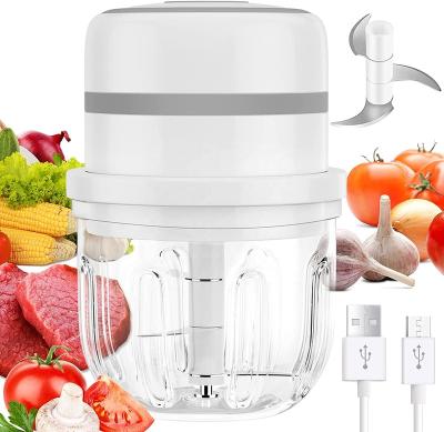 China Sustainable Mini Electric Garlic Chopper 300ml Garlic Crusher With USB Rechargeable Charging for sale