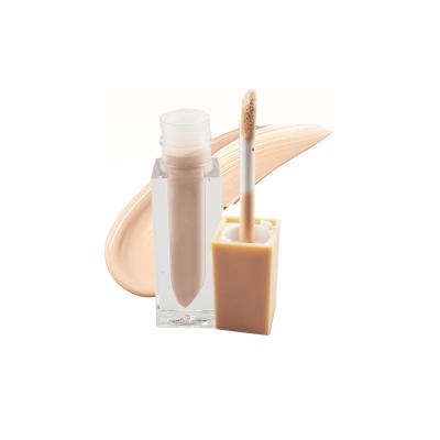 China Moisturizer OEM ODM Concealer Pro Private Label Eye Concealer La Concealer for sale