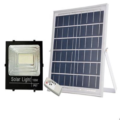 China Garden Grape Led Solar Flood Light IP65 High Brightness Outdoor Waterproof Led Solar Panel Energy Saving Flood Light for sale