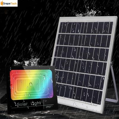 China Solar Garden Grape Led Flood Light 100W RGB 12 Colors Diameter Solar Light Led Spotlight Housing Outdoor Garden Ornaments for sale