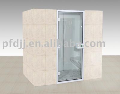 China Beautiful computer control panel steam sauna room for sale