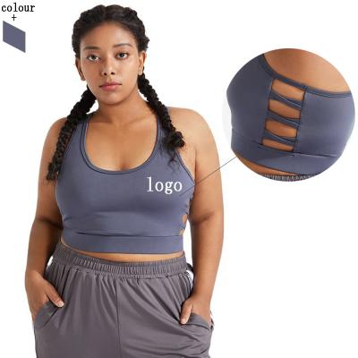 China Activewear Gym Clothing Antibacterial Women Hollow Out Sports Bra Plus Size Big Sports Bra Gym Tops Fitness for sale