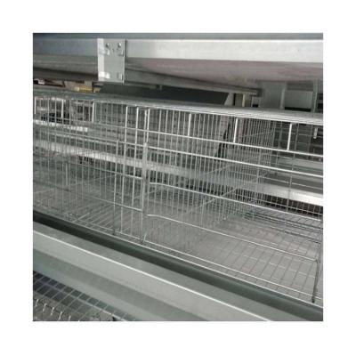 China Poultry Farms Layer Chicks Pullet Cage Poultry Farm Multi Tiers Galvanized 4 Rows Welded Wire Pullet Chickens Cage Equipment for sale