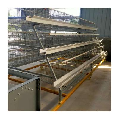 China Layer Chicken Agriculture One Type Automatic Galvanized Aluminum Wire Poultry Chicken Farm Layer Cage System With Automatic Egg Collection System for sale