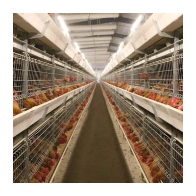 China Poultry Farms Lay Chick Pullet 3x3 Cage Rooster Cages Broiler Chicken Hen Battery Egg Layer Chicken Transport Cage for sale