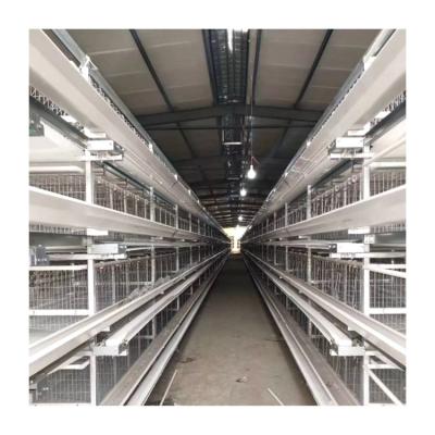 China Poultry Farms Lay Commercial Chicken Pullet Cage Rooster Cage Chicken Cages with 4 Doors for Poultry Farm for sale