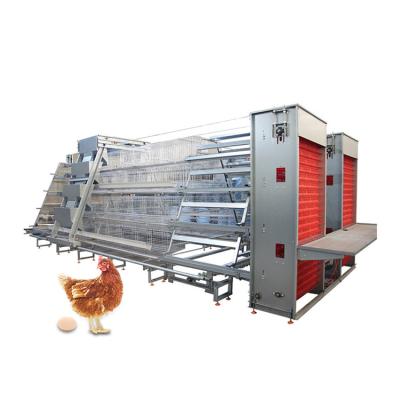 China Layer Chicken Farming H Type Automatic Chicken Equipment Battery Cage System For Egg Laying Poultry Farming for sale