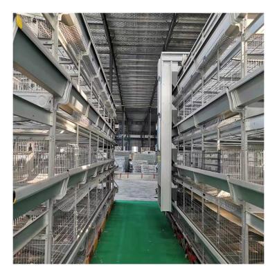 China Layer Chicken Cultivating Equipment German Breeding Technology H Type Fully Automatic Modern Poultry Farm Chicken Layer Cage Price for sale