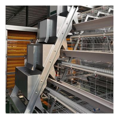 China Automatic Layer Chicken Farm Equipment Chicken Layer Cage Poultry Farming System For Chickens for sale