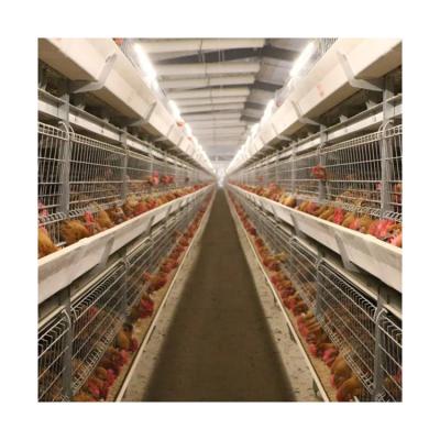 China Poultry Farms Layer German Chicks Pullet Cage 2022 Sale Chicken Layer Cage Battery Cage Hot Animal Poultry Farm Chicken Farms for sale