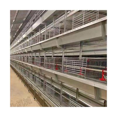 China Poultry Farms Layer Multilayer Automatic Chicks Pullet Cage Poultry Roosters Broiler Cage for sale