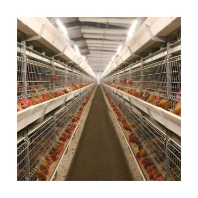 China Poultry Farms Layer Poultry Farm Equipment Roosters Broiler Chicken Pullet Cage 3/4 Rows H Type Automatic Cage for sale