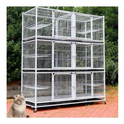 China Pet Shop Pigeon Carrier Cage with Best Price Good Quality for sale