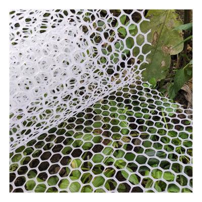 China Newest PP Plastic Corrosion Resistant White Plastic Net For Construction for sale