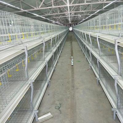 China Automatic Poultry Field Layer Chicken Cage For Sale Farming House Layers Thrown Design Layers Quality And Durable Capacity For Poultry Farm for sale