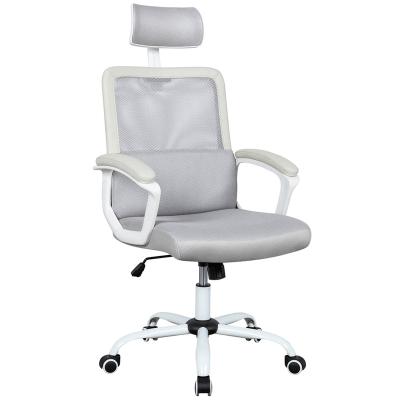 China New Design Oficina Armrest Manager Adjustable Leisure Mesh High End Ergonomic Computer Chair (Height) for sale