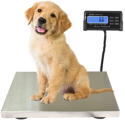 China High Precision Hotel Transport Scale 360 ​​lbs, Heavy Duty Stainless Steel Postal Scale, with Timer/Holder/Tare for sale