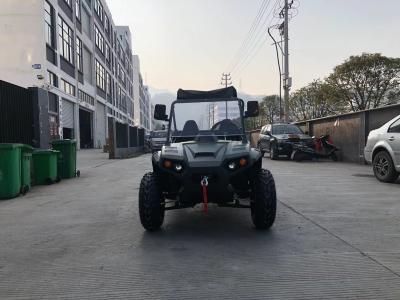 China Chinese cheap 1500W 2200w Adult electric UTV Te koop