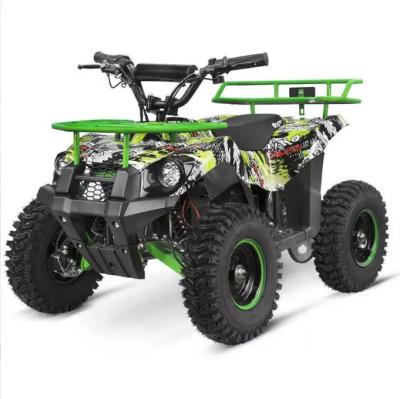 China Kids Electric ATV 36V 800W 1000W Mini Atvs for Kids Mini Quads for Kids for sale