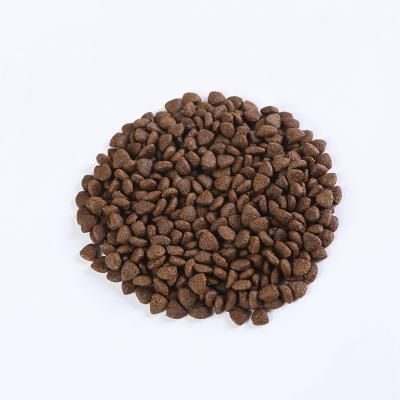 China 2022 Viable New Formula Beef Flavor Dry Kitten Food Dry Cat Food Wholesale Pet Food for sale