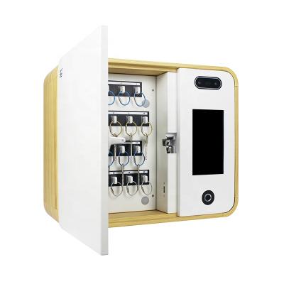 China High Grade Master Cabinet with Digital Authentication Lock Android System via PIN, Card RFID, Fingerprint and Face for sale