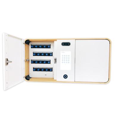 China With Fingerprint Unlocking Module Wall Mounted Key Safe Lock Box 709mm*364mm*160mm for sale