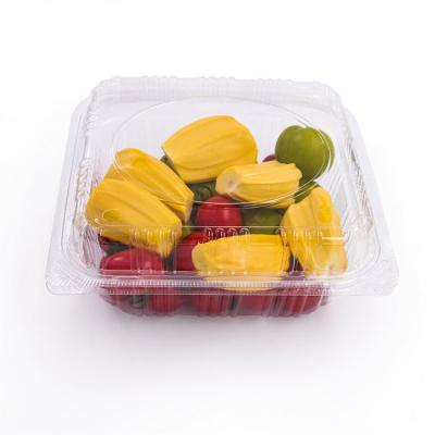 China Factory Supply Wholesale Price Modern Disposable Plastic Food Container Take Out Box for sale