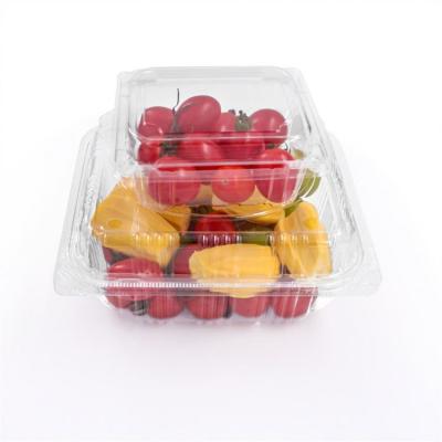 China Modern Professional Factory Manufacturer Plastic Bento Box Takeaway for sale