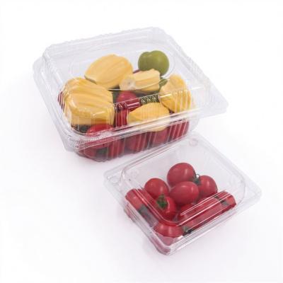 China Factory Price Modern Custom Cheap Take Away Box China Plastic Disposable for sale