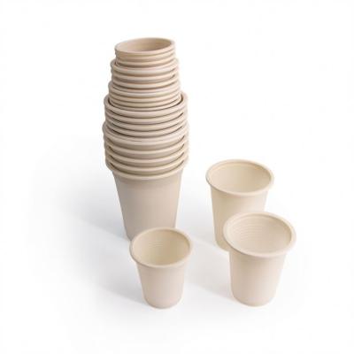 China Low price high quality gold supplier disposable biodegradable cup food for sale