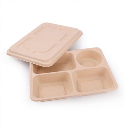 China Viable Wholesale Custom Good Prices Plastic Food Container With Snap Lid for sale